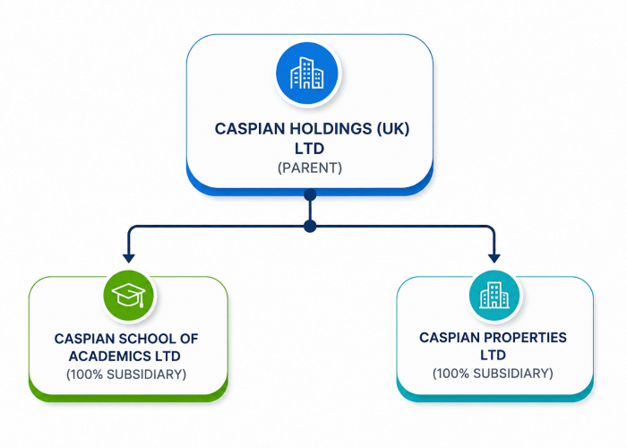 Caspian Holdings organizational chart